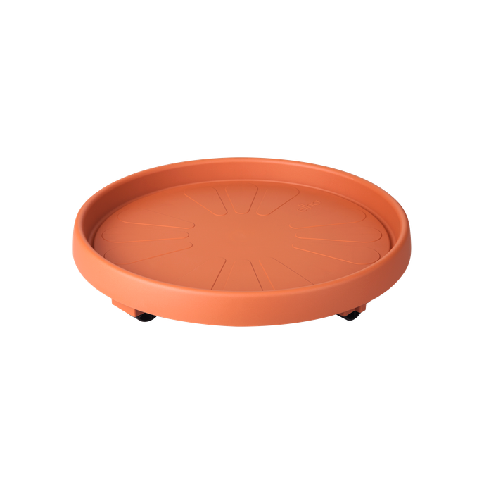 universal planttaxi 30cm terra